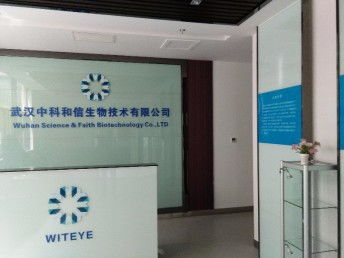 十二載匠心鑄就品質 武漢專業發光字廣告牌與噴繪招牌制作安裝